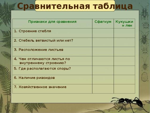 Мох кукушкин лен описание. кукушкин лён (polytrichum commune l.)