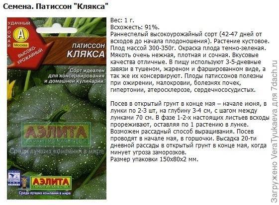 Кабачки и патиссоны: чем отличаются по вкусу, виду и другим признакам, в чем их сходство, как различить по плодам, семечкам и кустам
