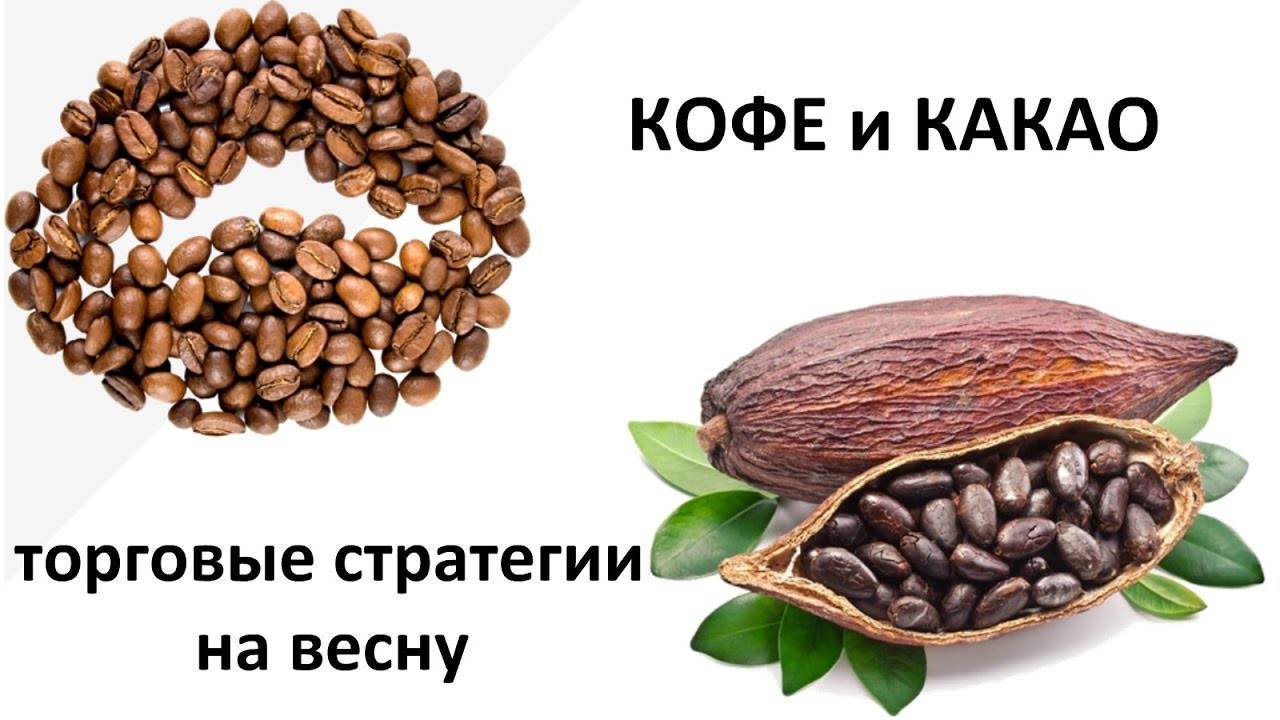 Чем отличаются кофе и какао