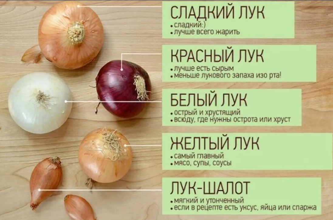 Сорта красного репчатого лука для подмосковья, для сибири, для средней полосы, для хранения, описание с фото, отзывы, крупные, урожайные