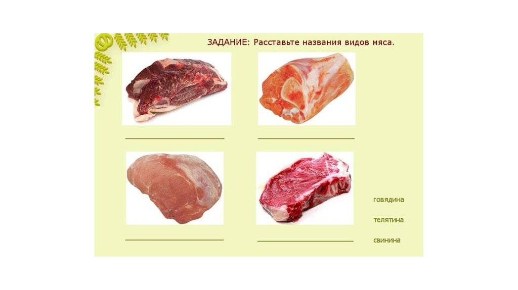 Отличия телятины от говядины - в чем заключается разница и как выбрать мясо для вашего рациона - podsmotri-otvet.ru