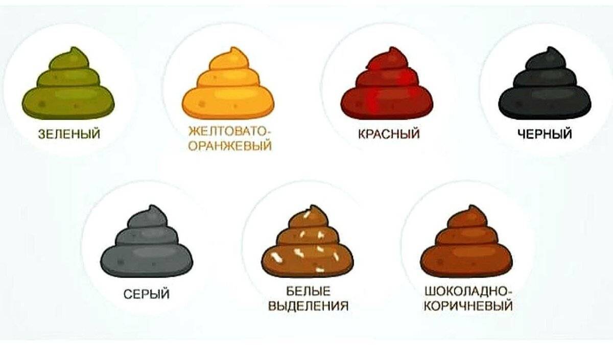 Диарея (понос) - симптомы, причины возникновения, лечении и профилактика
