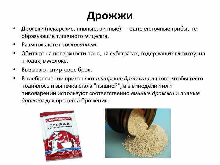 Отличие спиртовых дрожжей от хлебопекарных. чем сухие дрожжи отличаются от прессованных, из чего сухие состоят и которые лучше
