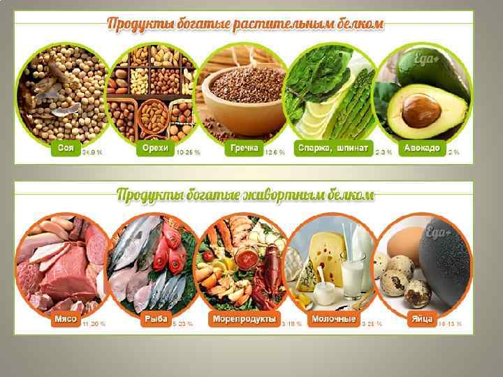 Растительные и животные белки: все тонкости и секреты!
