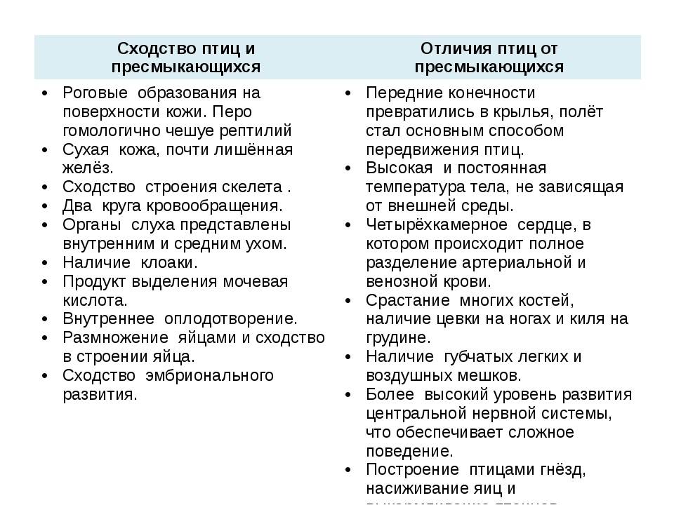 Амфибии против рептилий - в чем разница?