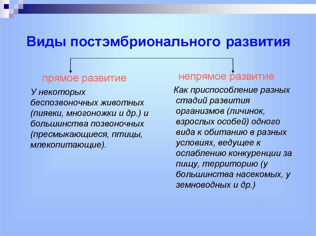 Какого значение непрямого развития организмов. чем отличается прямое постэмбриональное развитие от непрямого? каково же значение непрямого развития