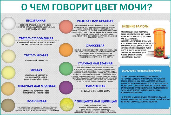 Фурагин или фурадонин: что лучше при цистите