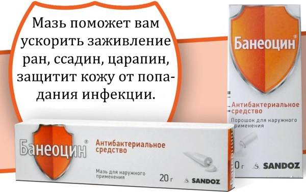 Что лучше банеоцин мазь или порошок: сравниваем банеоцин в форме мази и порошка