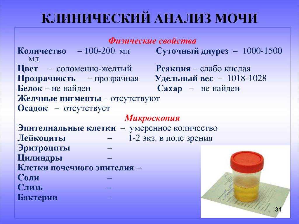 Анализ мочи по нечипоренко: что показывает, норма, расшифровка исследования