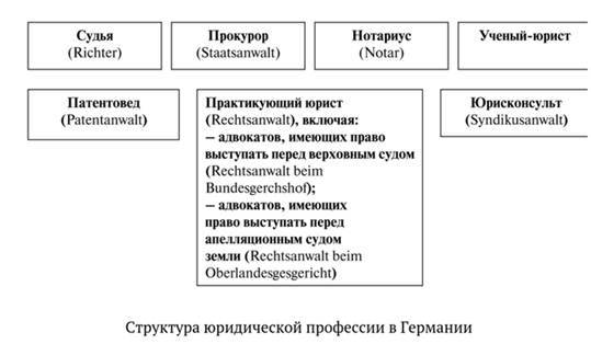 Адвокат или юрист: разница между ними, кого выбрать