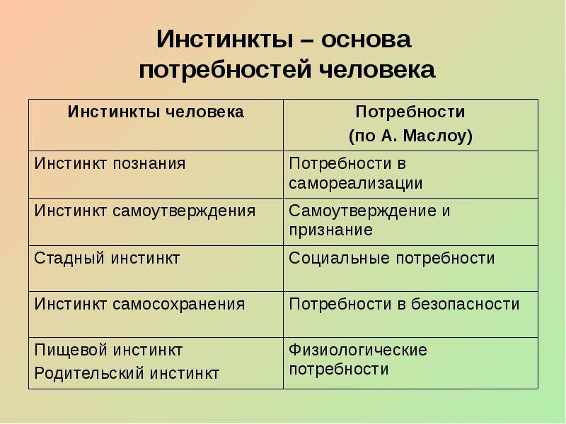 Отличие нужды от потребности: разбор понятий и примеры