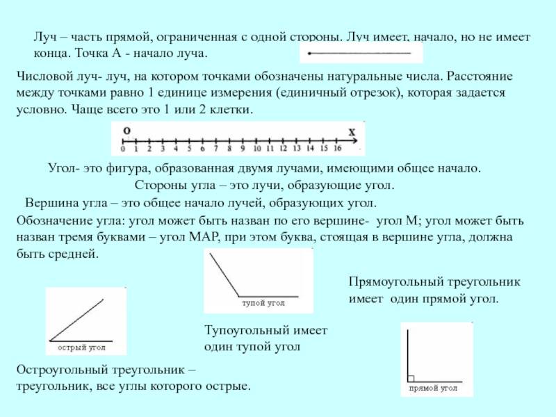 Прямая, луч и отрезок: что это такое и как они отличаются?