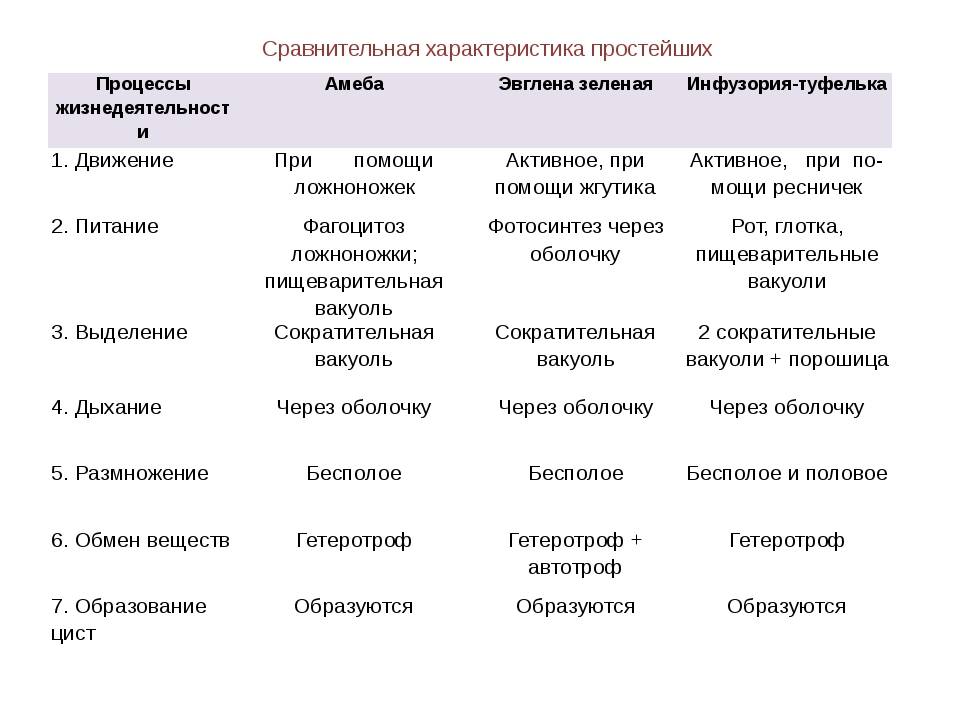 Чем отличаются грибы от бактерий — книгиру.рф