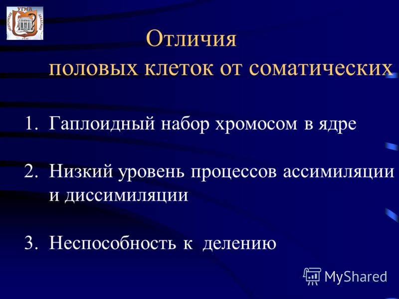 Чем отличаются соматические клетки от половых