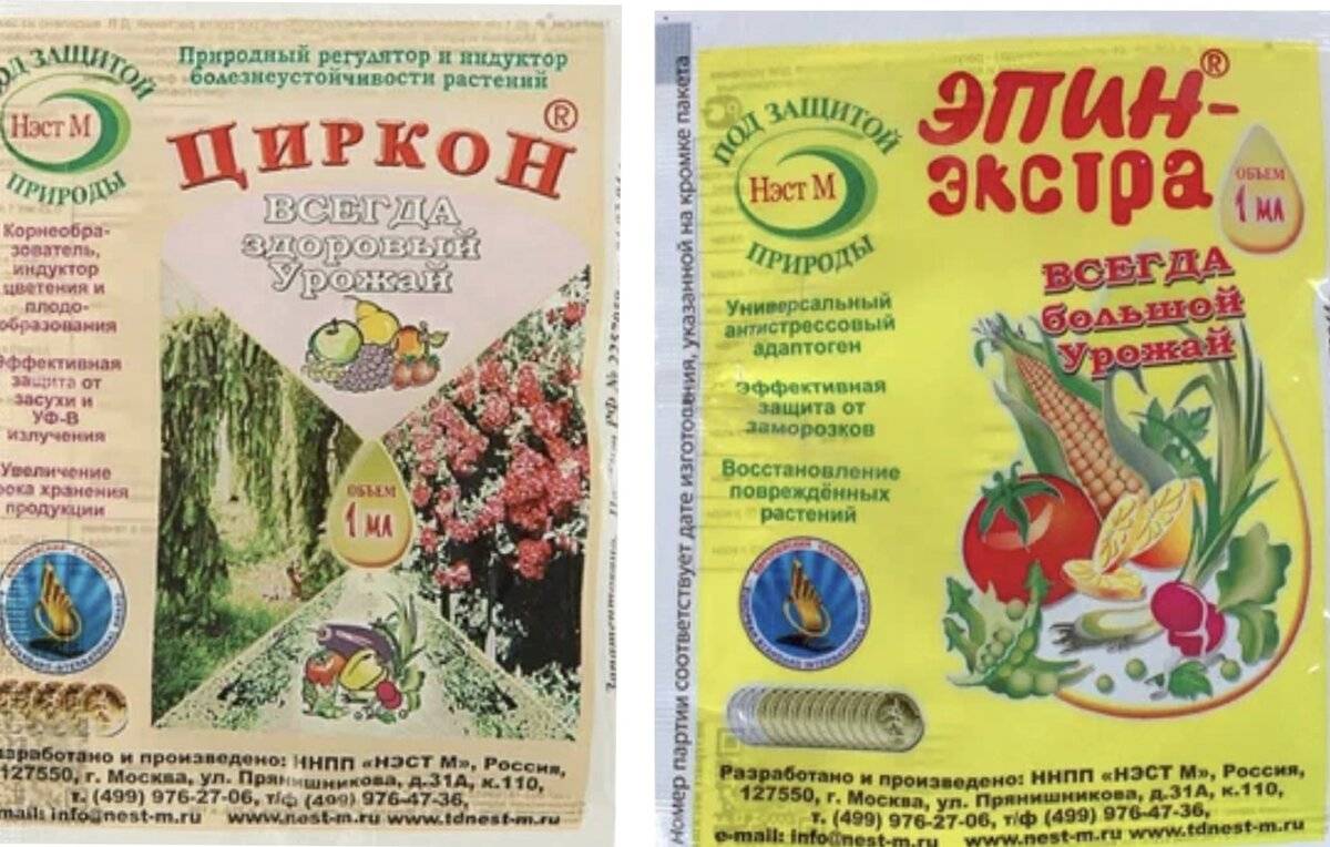 Как выбрать оптимальный материал для подкормки растений - эпин или циркон? - protipsgig.ru
