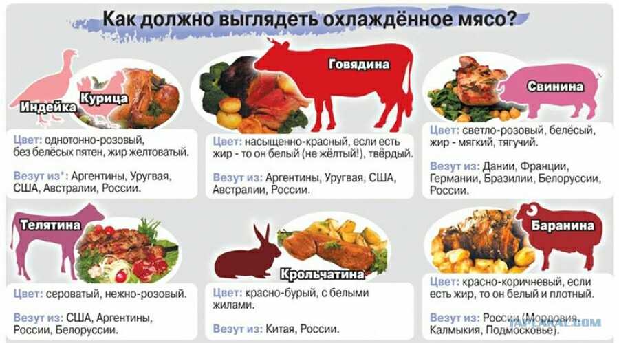 Как отличить говядину и свинину? - часто задаваемые вопросы