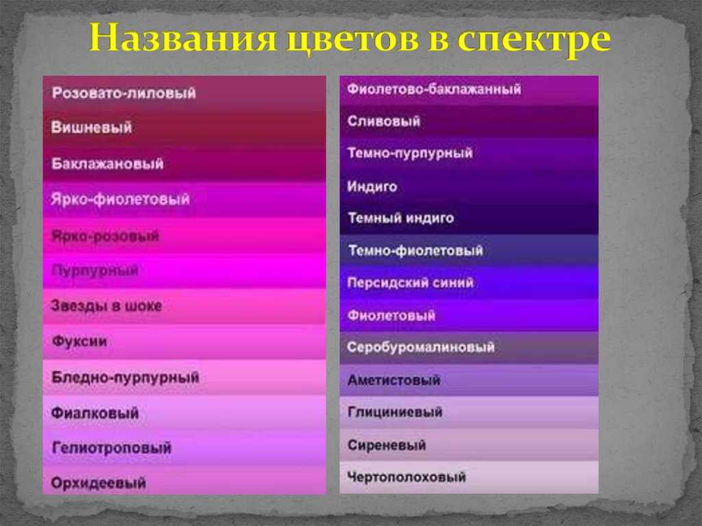 Сиреневый и фиолетовый цвет: в чем разница