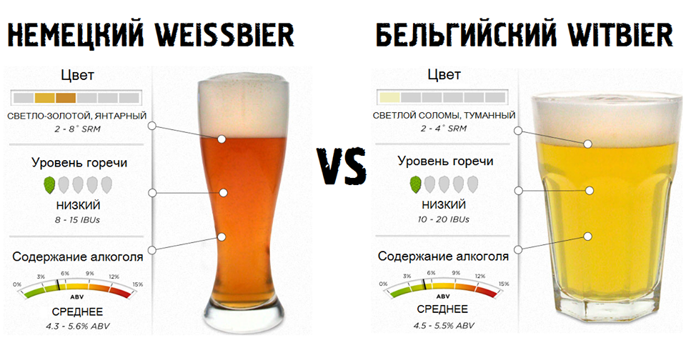 Пиво и эль: описание и чем они отличаются?