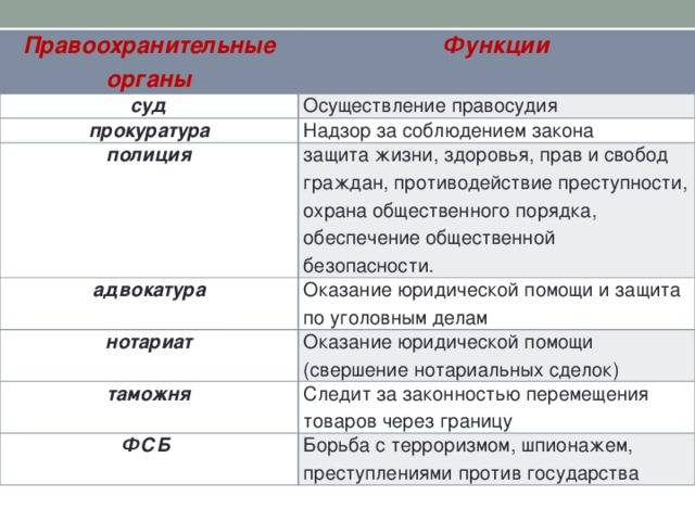 Различия между функцией и процедурой в программировании: что следует знать?