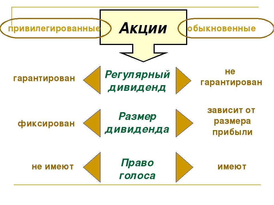 Обыкновенные и привилегированные акции - что такое и отличия
