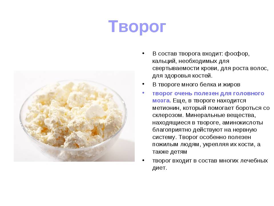 Творог и творожная масса — в чем их существенное отличие?