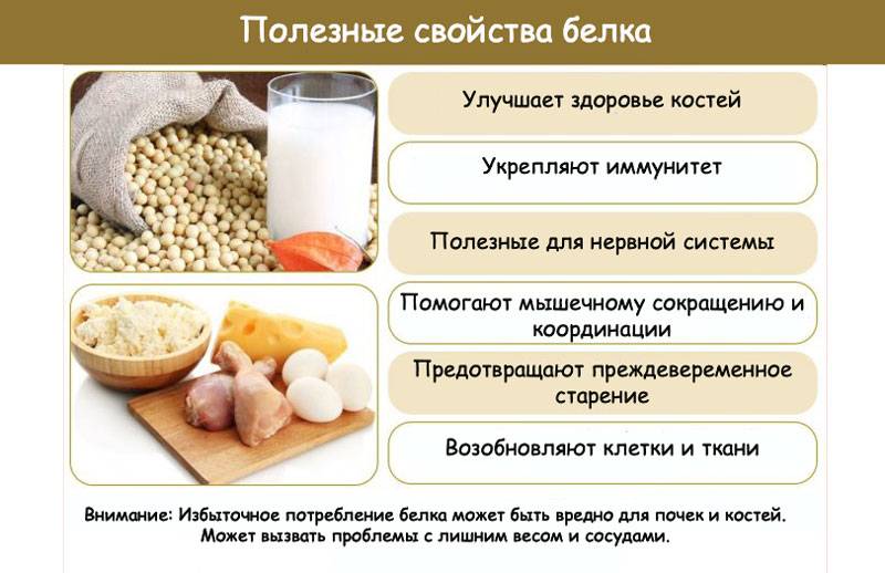 Животный белок - что это: чем полезны и чем опасны для человека?