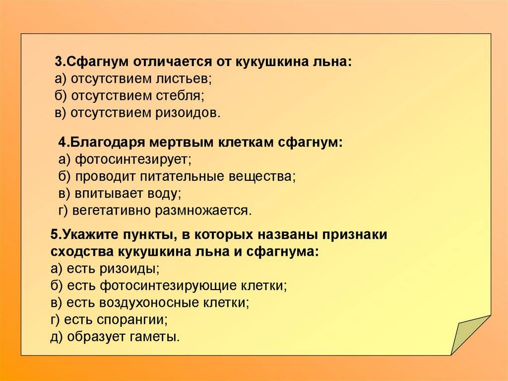 Характеристика и строение моховидных: кукушкин лен и сфагнум. образование и значение торфа