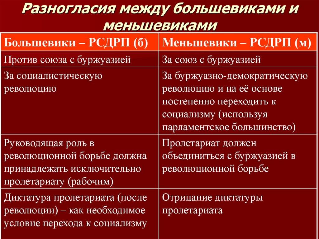 Большевики и меньшевики - политика 2024