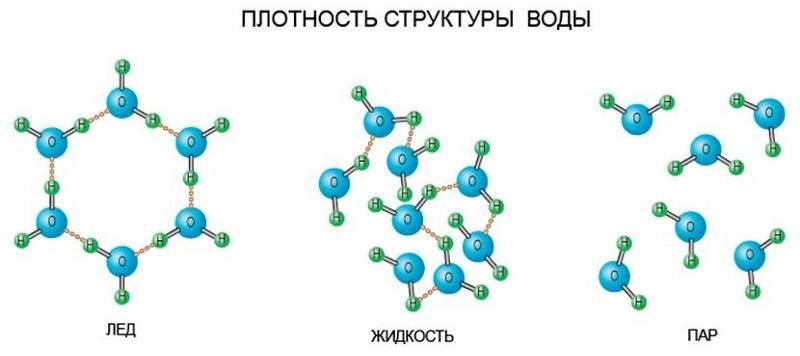 Молекулы воды и водяного пара: в чем их различия и причина?