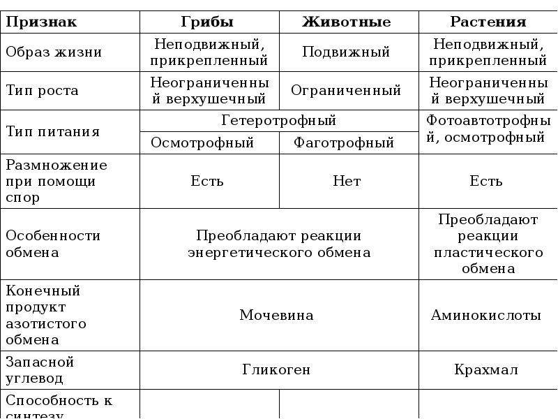 Чем  растительная клетка отличается от животной: какие признаки являются общими