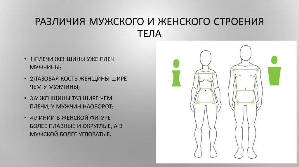 Чем отличается девушка от женщины: физиологические отличия