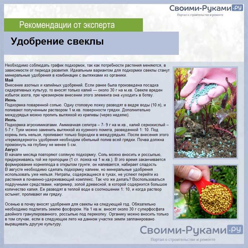 Чем можно удобрить землю кроме навоза: для подготовки к высаживанию нового урожая