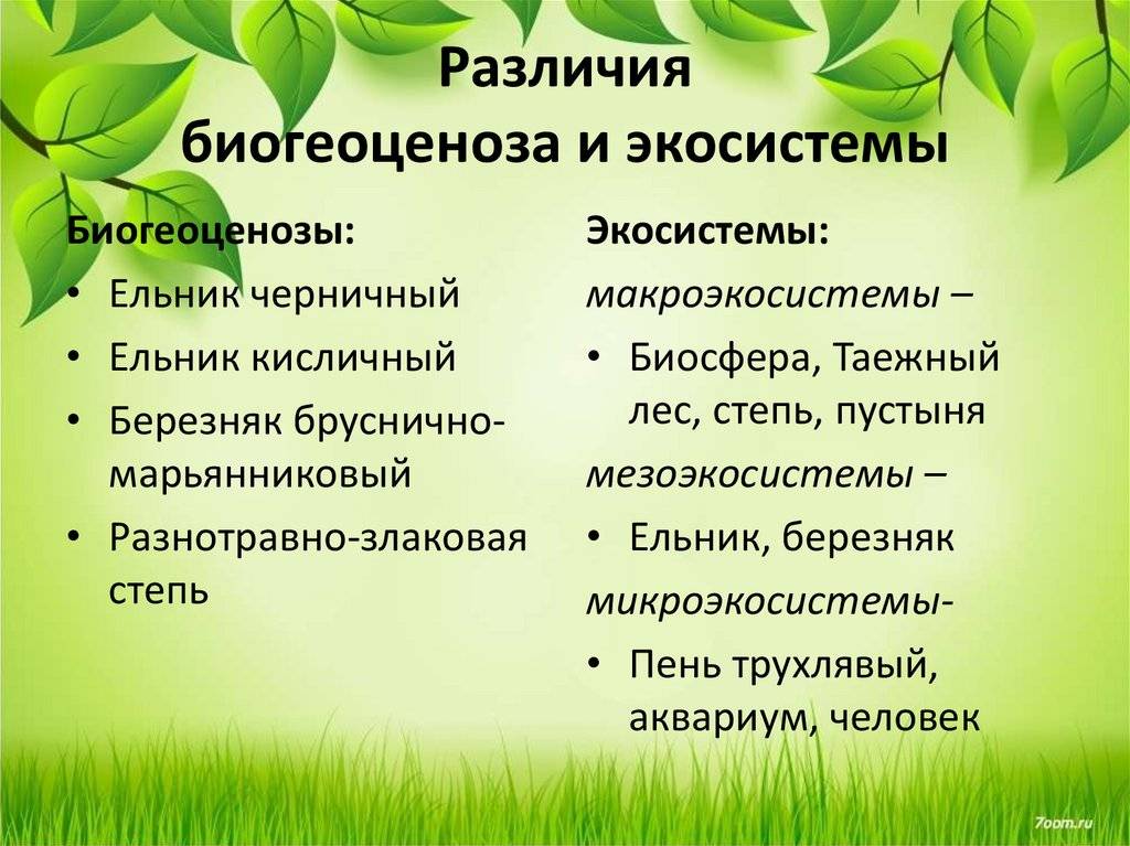 В чем отличие агроценоза от биоценоза