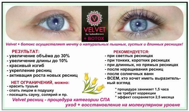 Чем отличается вельвет (velvet) от ламинирования ресниц - какая процедура лучше