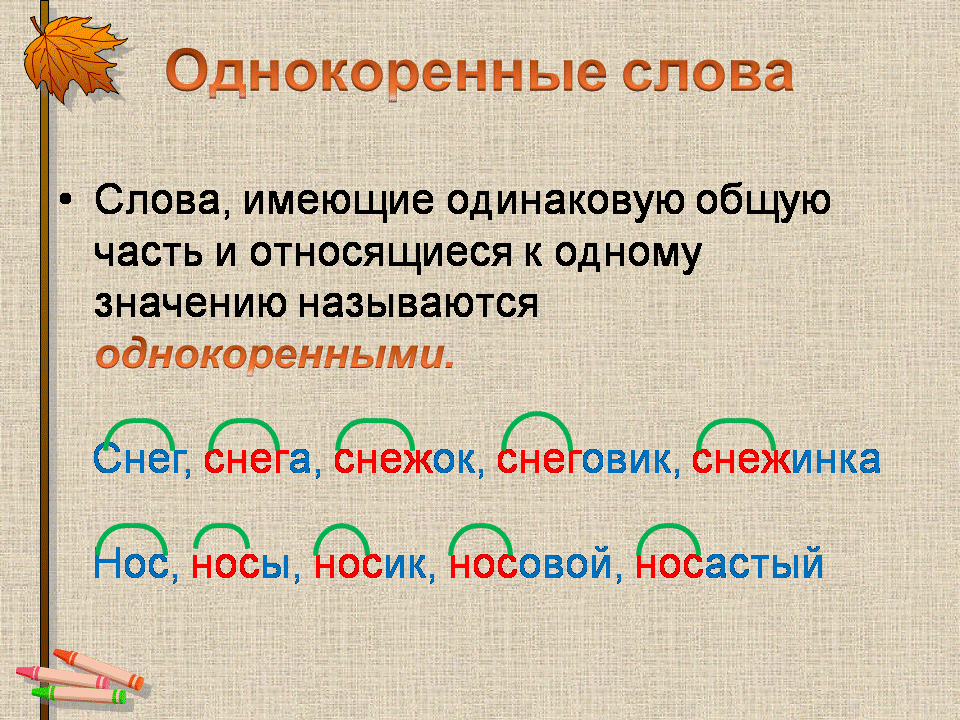 Омонимы ⭐ и паронимы: что это такое, значение в русском языке, как отличить друг от друга