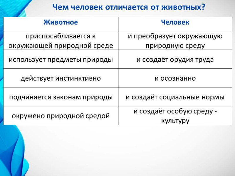 Разница между человеком и животным | в чем разница