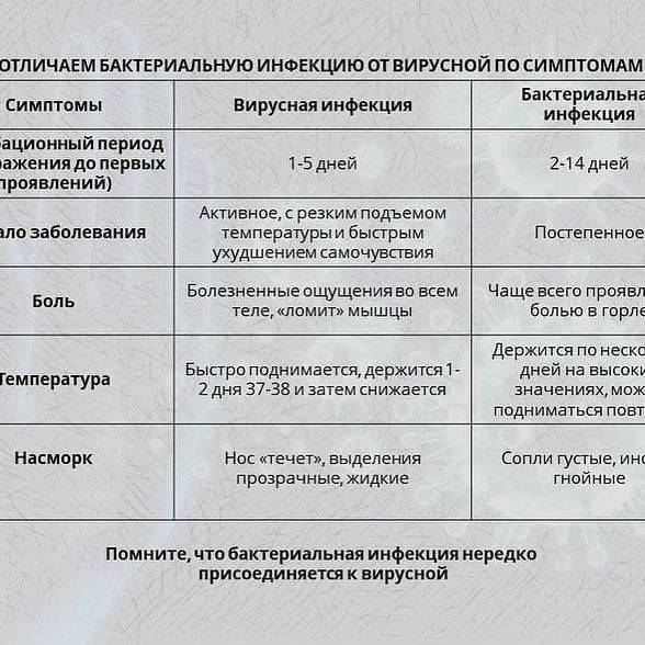 Отличия вирусной и бактериальной инфекций: симптомы и диагностика