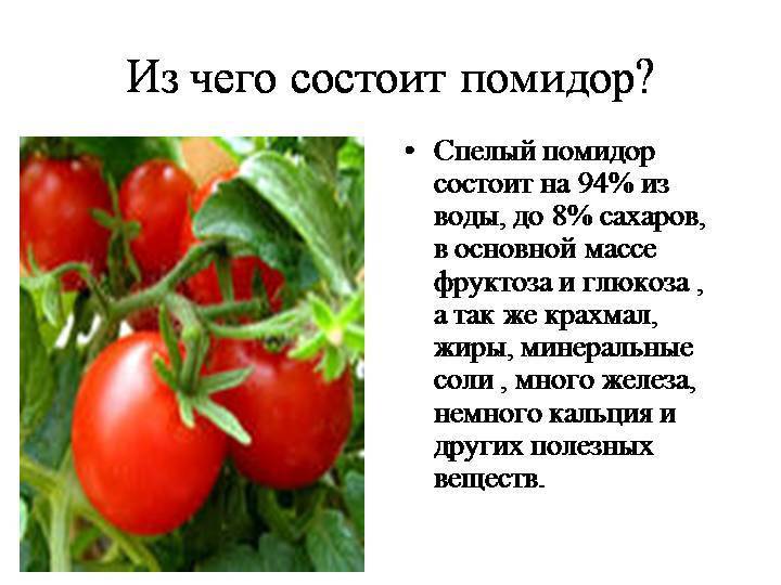 Помидор — викисловарь