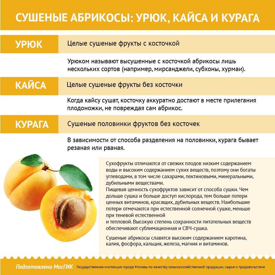 Урюк: польза, вред, рецепты с сушеным абрикосом