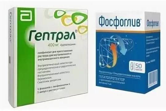 Препараты гепатопротекторы. докопаться до сути