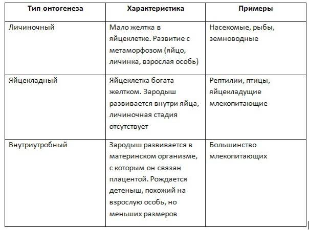 36. организм как биологическая система
 читать 0 мин.