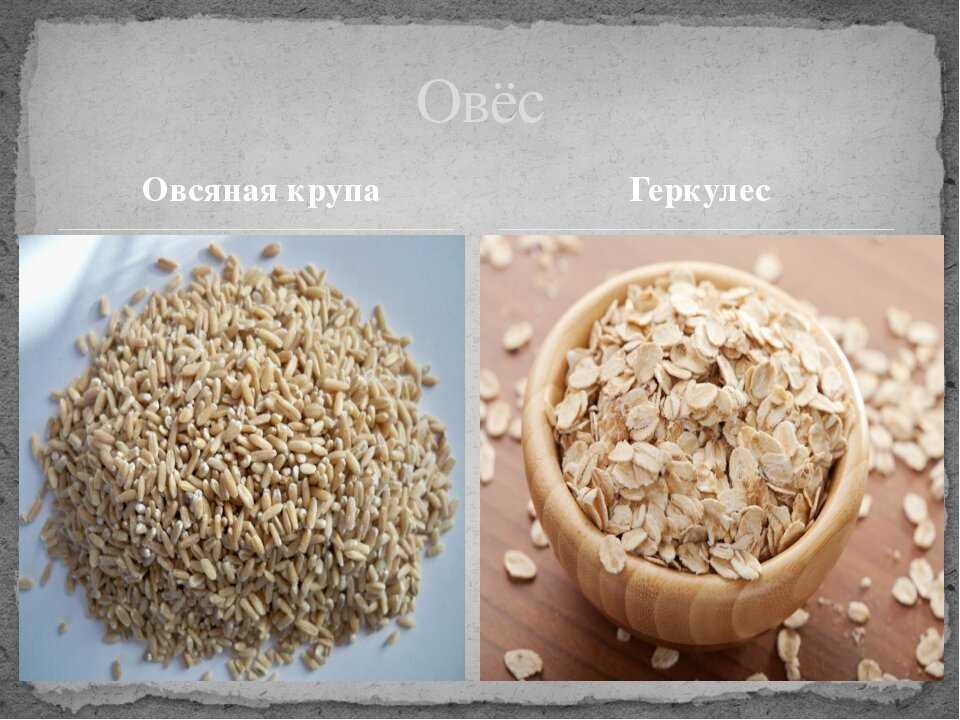 Чем отличается молочная каша от безмолочной?
