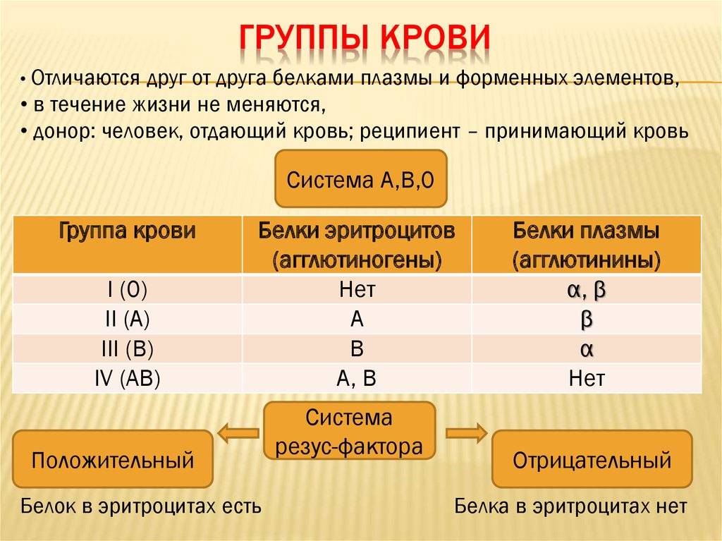Группы крови человека: сколько существует, какие бывают и как обозначаются
