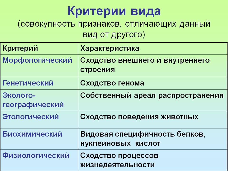 В чем отличие между экспертом и специалистом