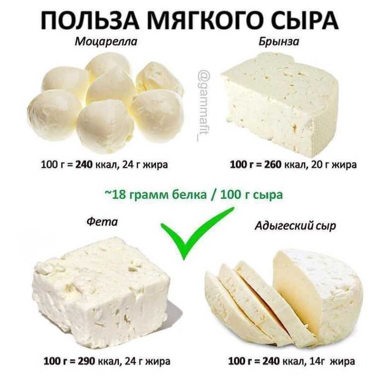 Сыр фета и брынза - в чём разница: сходства и отличия рассольных сыров