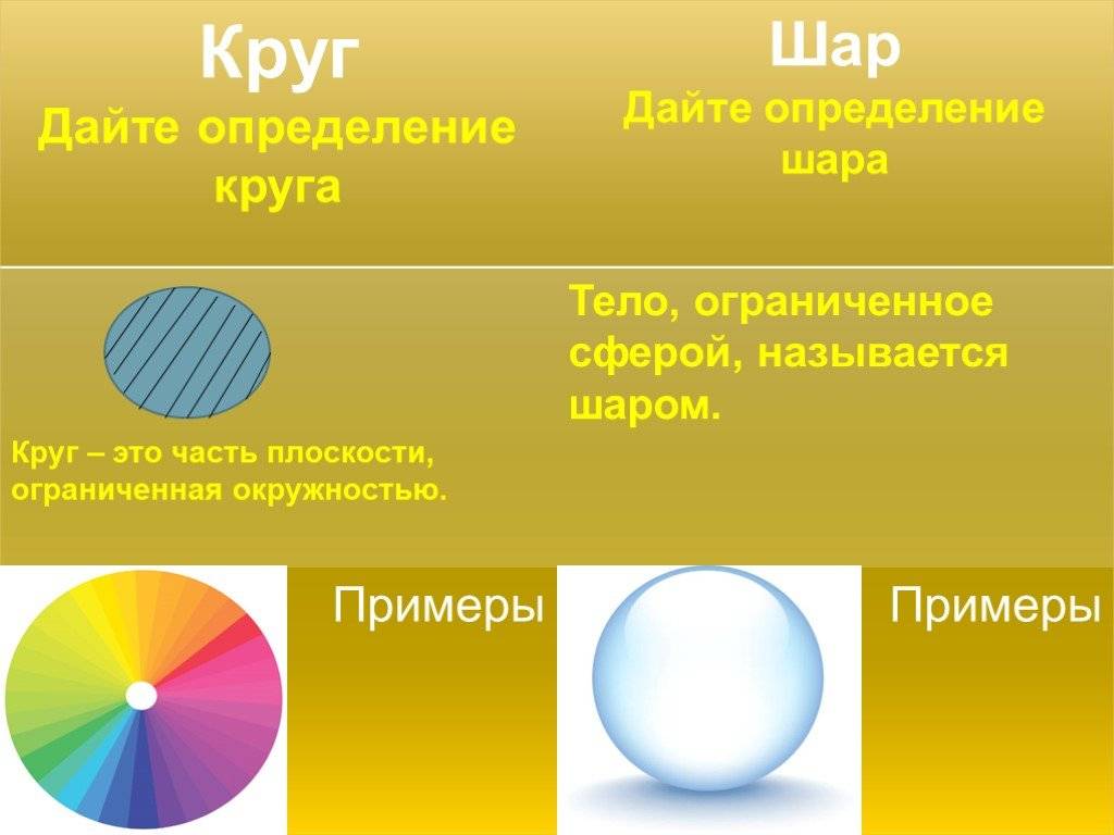 Окружность и круг