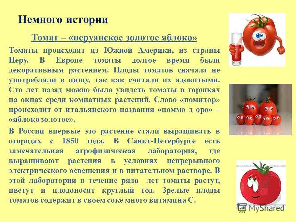 Помидор или томат как правильно называется этот овощ?
