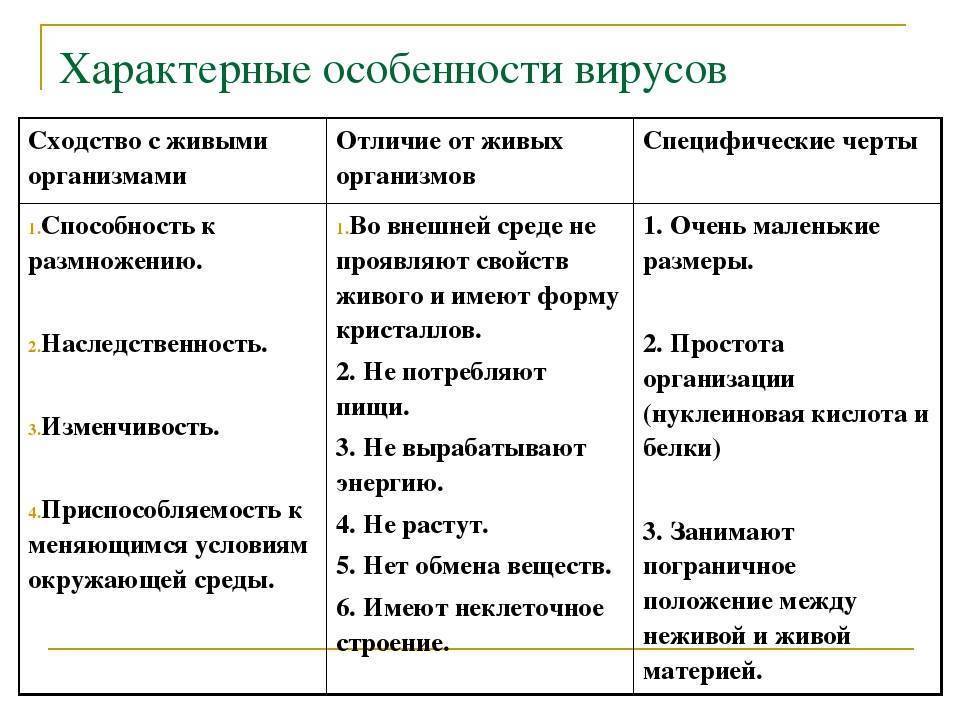 Бактерии и вирусы: как поражают клетки организма, в чем разница и когда нужны антибиотики