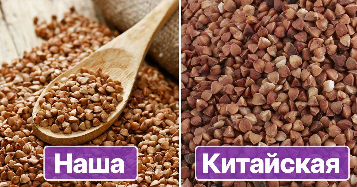 Чем полезна гречка: полезные свойства гречневой крупы для здоровья организма - агро-альянс | мир круп
