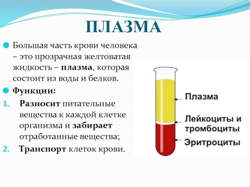 Сыворотка крови человека
